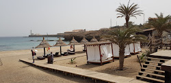 Prainha Beach'in fotoğrafı kısmen tatil bölgesi