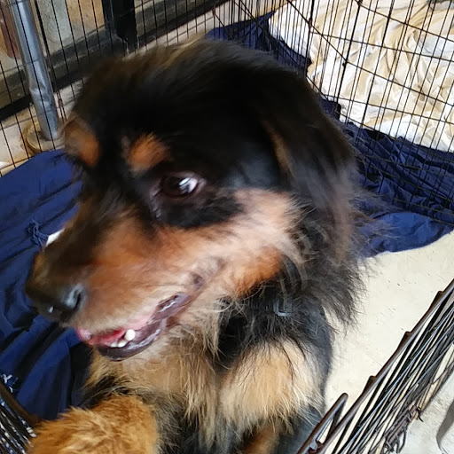 Pet Supply Store «PetSmart», reviews and photos, 2435 NW Federal Hwy, Stuart, FL 34994, USA