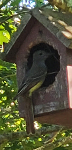 Pet Supply Store «Mid Cape Pet and Seed Supply», reviews and photos, 515 Station Ave, South Yarmouth, MA 02664, USA