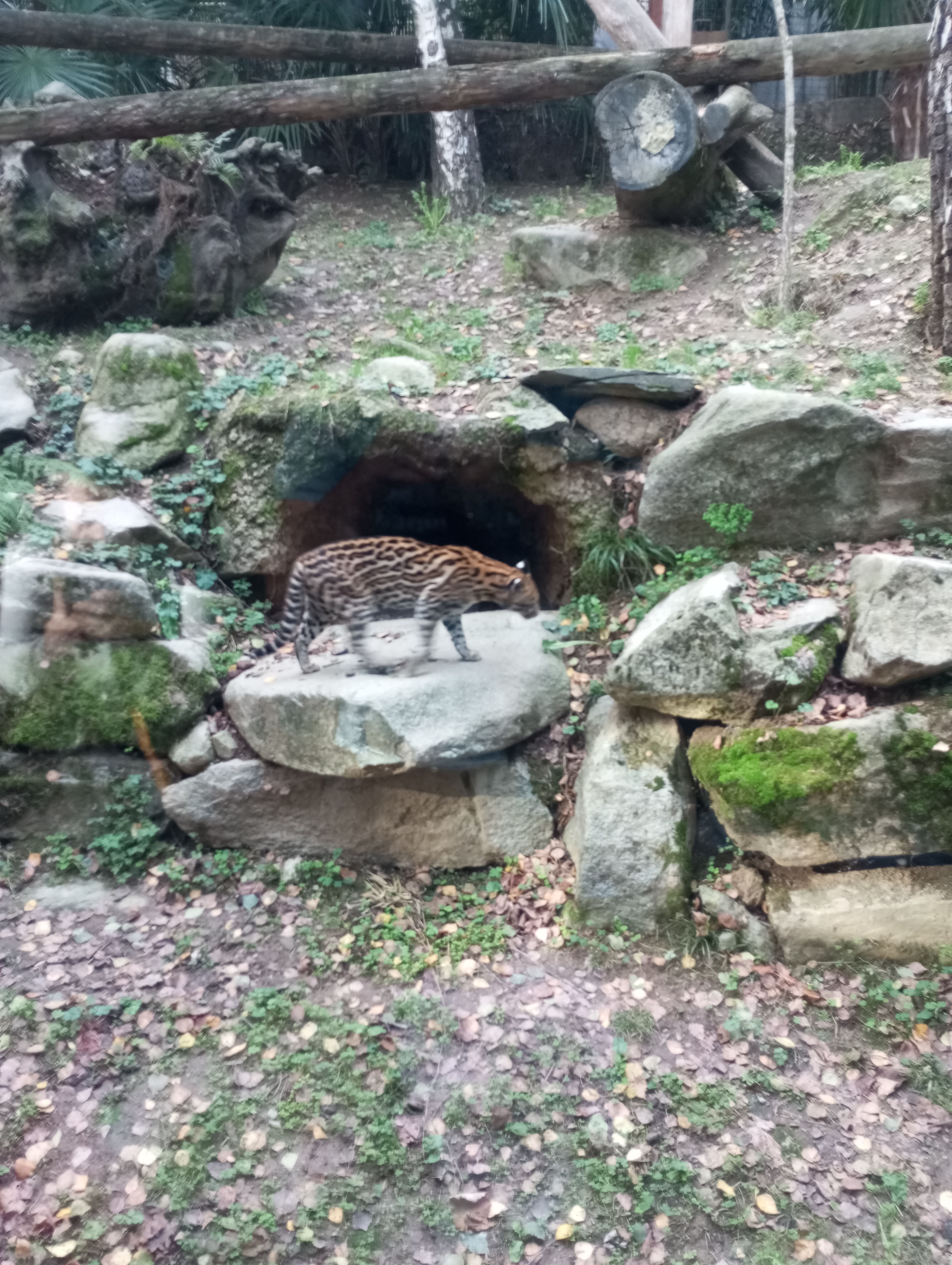 Photo n° 3 de l'avis de max. fait le 06/11/2023 à 20:14