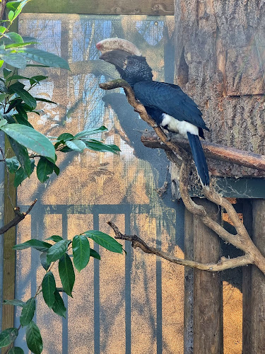 BestZOO openingstijden