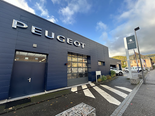 Photo 4 - Evogreen Cars