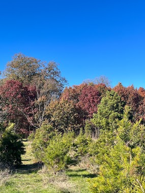 Walls Family Farm