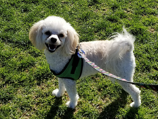 Community Center «Rancho Santa Susana Community Center», reviews and photos, 5005 E Los Angeles Ave, Simi Valley, CA 93063, USA
