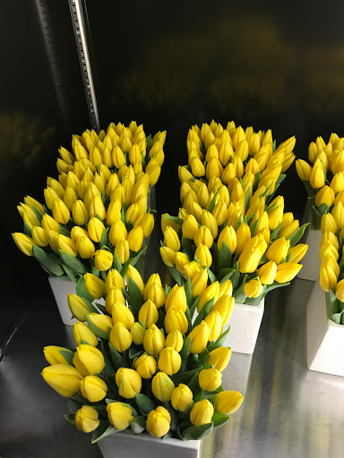 Florist «Abbott Florist», reviews and photos, 1008 71st St, Miami Beach, FL 33141, USA