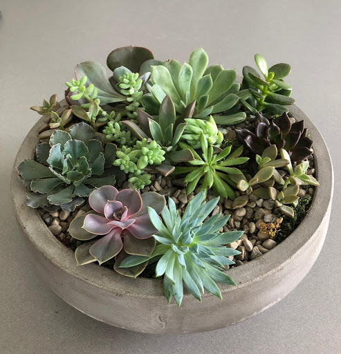 Florist «Bloomtastic Florist», reviews and photos, 2136 Arlington Ave, Columbus, OH 43221, USA