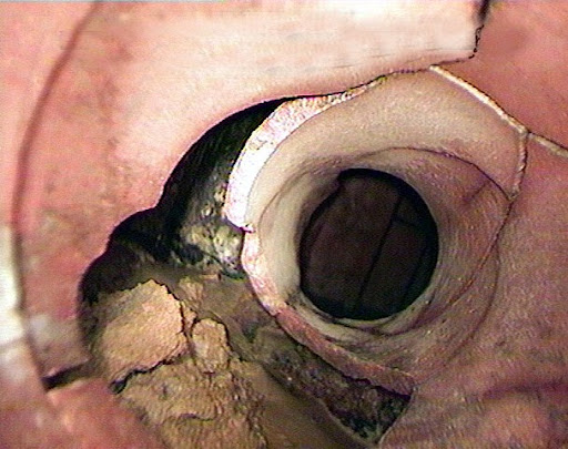 Plumber «Roto-Rooter Plumbing & Drain Services», reviews and photos, 1221 Chapel St, New Haven, CT 06511, USA