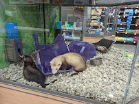 Petco - Photo 4 - Car repair in Teterboro, NJ, New York