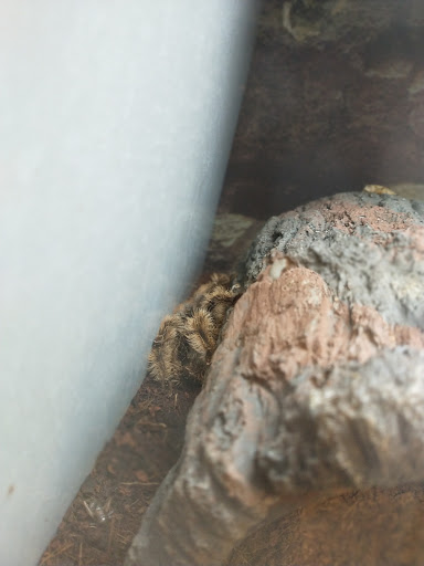 Pet Supply Store «Petco Animal Supplies», reviews and photos, 438 Southbridge St, Auburn, MA 01501, USA