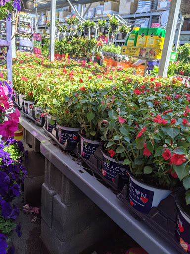 Home Improvement Store «The Home Depot», reviews and photos, 782 PA-113, Souderton, PA 18964, USA