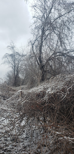 Park «Putty Hill Park», reviews and photos, 8600 Hoerner Ave, Parkville, MD 21234, USA