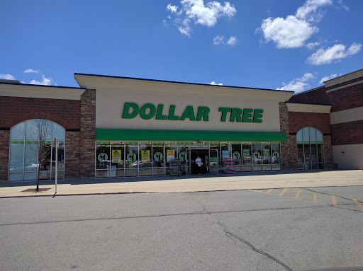 Dollar Store «Dollar Tree», reviews and photos, 10023 Fremont Pike, Perrysburg, OH 43551, USA