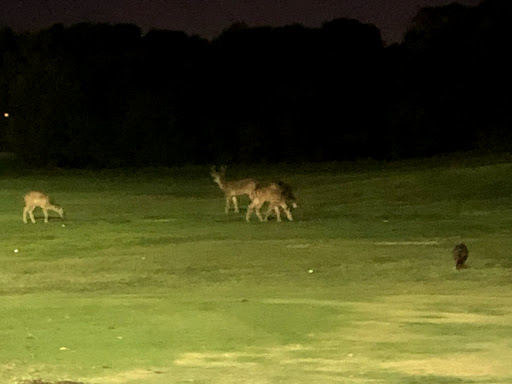 Golf Driving Range «Stanford Golf Driving Range», reviews and photos, 198 Junipero Serra Blvd, Palo Alto, CA 94304, USA