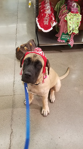 Pet Supply Store «Bark Avenue», reviews and photos, 4781 Granite Dr, Rocklin, CA 95677, USA