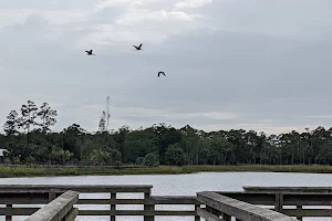 Peacock Lake image
