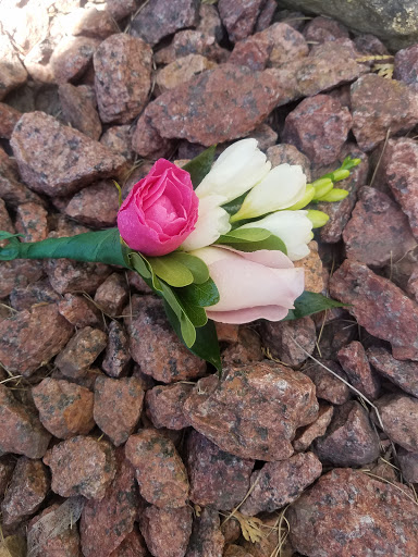 Wholesale Florist «Green Village Flowers», reviews and photos, 5457 Keystone Ct, Plainfield, IL 60586, USA