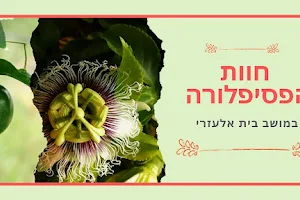 קטיף עצמי עגבניות שרי - חוות הפסיפלורה בית אלעזרי image