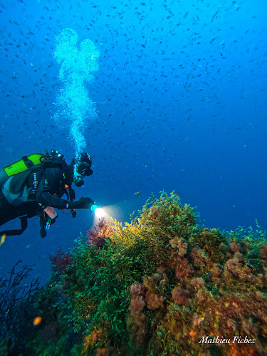 Agathonis Plongée à Agay