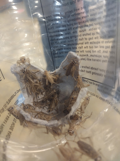 Pet Supply Store «PetSmart», reviews and photos, 2861 Veterans Memorial Pkwy, St Charles, MO 63303, USA