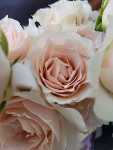 Florist «Events in Bloom», reviews and photos, 9637 Palm River Rd, Tampa, FL 33619, USA