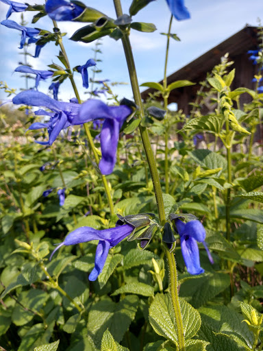 Park «Heritage Park», reviews and photos, 99 Lake Dow Rd, McDonough, GA 30252, USA