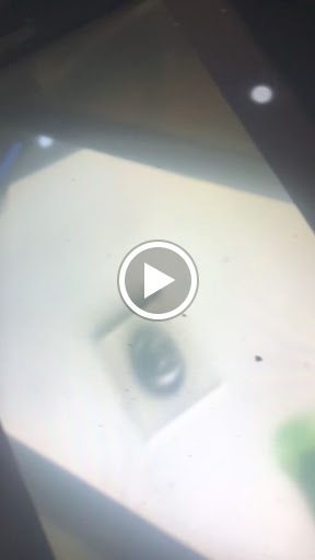 Gym «LA Fitness», reviews and photos, 19800 WA-99, Lynnwood, WA 98036, USA