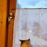 Photo n°2 de l'avis de Massimo.a fait le 04/06/2022 à 18:07 sur le  Rifugio Gortani à Malborghetto Valbruna