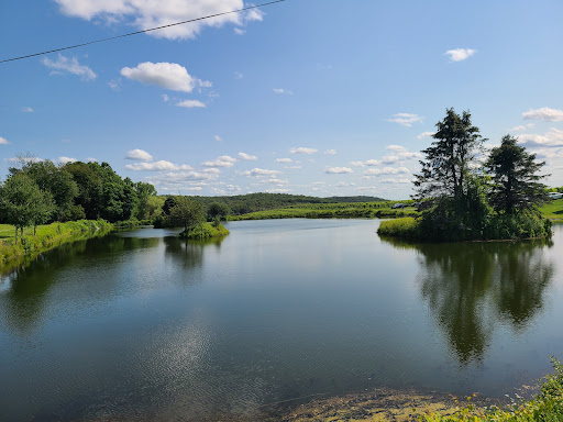 Winery «Millbrook Vineyards & Winery», reviews and photos, 26 Wing Rd, Millbrook, NY 12545, USA