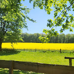 Photo n°1 de l'avis de Christian.a fait le 15/05/2022 à 11:34 sur le  Waldhuuske à Rosengarten