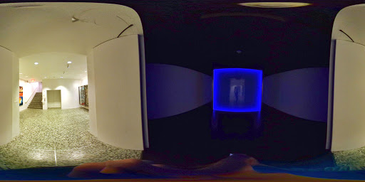 Museum «Museum of Fine Arts, Houston», reviews and photos, 1001 Bissonnet St, Houston, TX 77005, USA