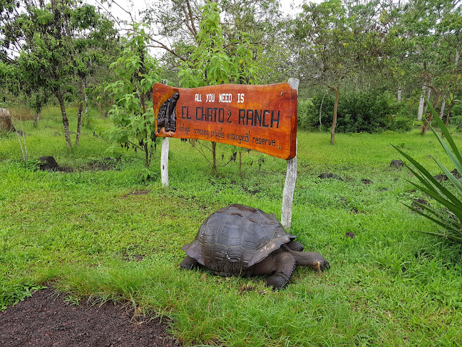 El Chato - Giant Tortoise Reserve - Puerto Ayora