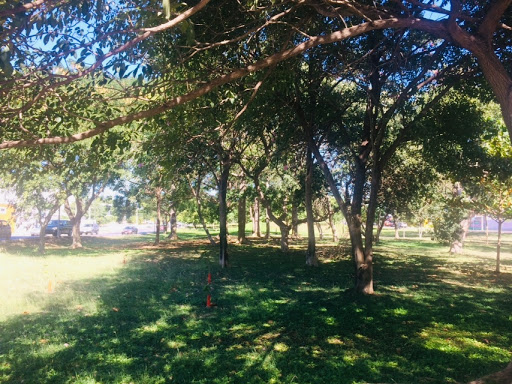 Área verde de la Avenida Mérida 2000