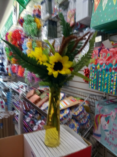 Craft Store «Michaels», reviews and photos, 205 Palm Bay Rd NE #14, West Melbourne, FL 32904, USA