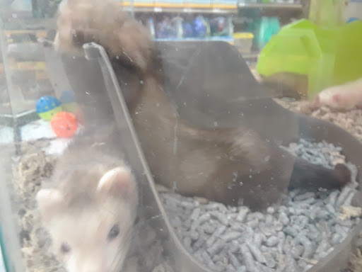 Pet Supply Store «Petco Animal Supplies», reviews and photos, 1320 E Lincoln Way p101, Sparks, NV 89434, USA