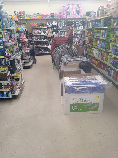 Discount Store «Dollar General», reviews and photos, 13198 US-131, Schoolcraft, MI 49087, USA