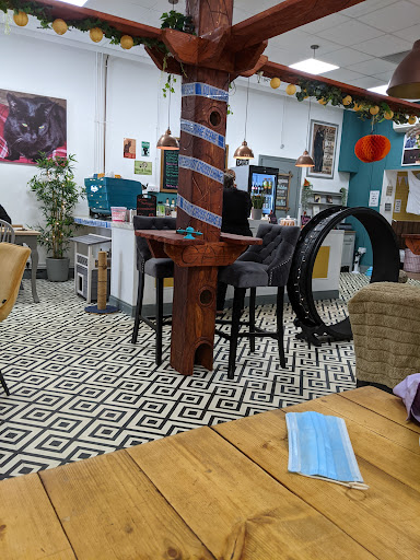 Charlies Cat Cafe