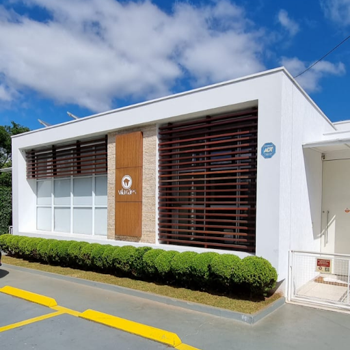 Logo da empresa - VILA DOS CÃES