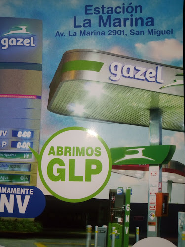 Opiniones de Grifo Gazel en San Miguel - Gasolinera