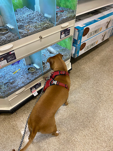 Pet Supply Store «PetSmart», reviews and photos, 2818 S Louise Ave, Sioux Falls, SD 57106, USA
