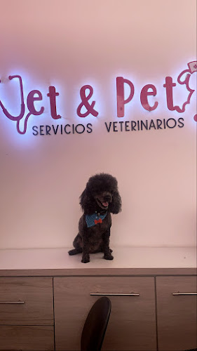 Vet and Pet