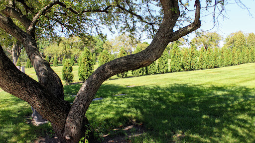 Funeral Home «Shalom Memorial Park Jewish Funeral Home», reviews and photos, 1700 W Rand Rd, Arlington Heights, IL 60004, USA