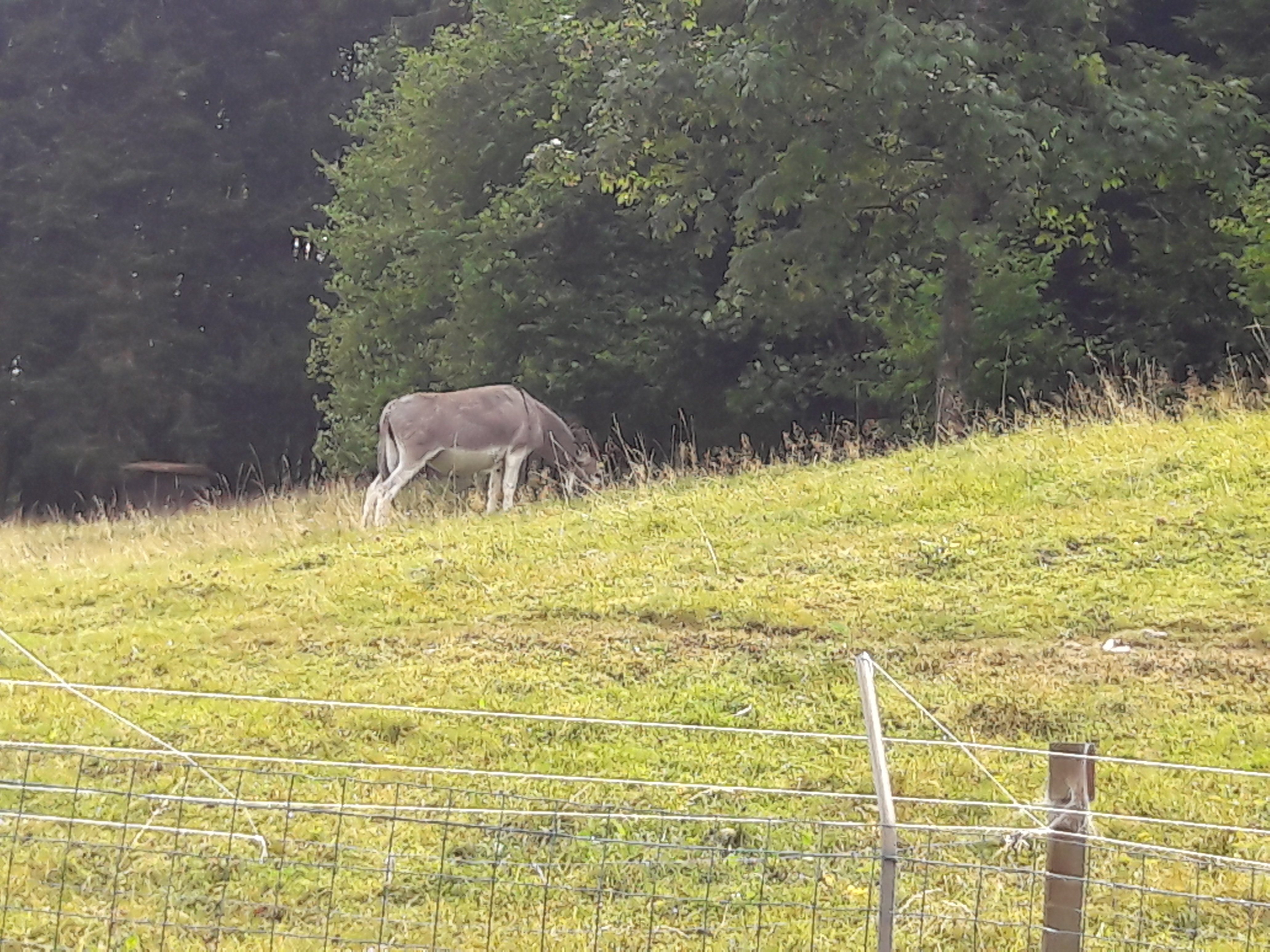 Photo n° 2 de l'avis de Veronique.a fait le 08/08/2018 à 12:25