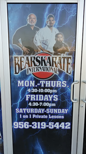 Bears Karate International