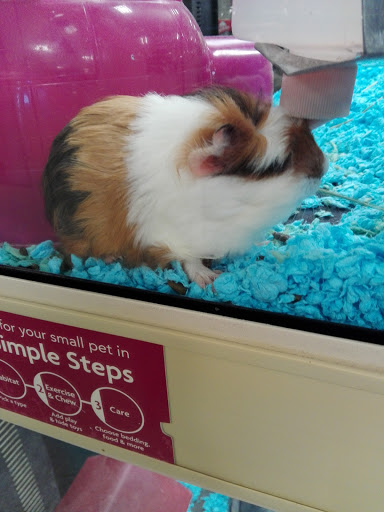 Pet Supply Store «PetSmart», reviews and photos, 190 Rt 10 West, East Hanover, NJ 07936, USA