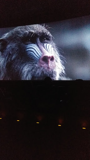 Movie Theater «AMC Showplace Washington Square 12», reviews and photos, 10280 E Washington St, Indianapolis, IN 46229, USA