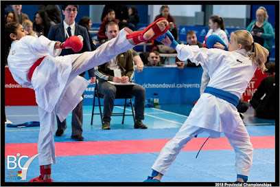 Varsity Performance Karate