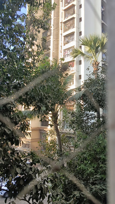 Google Maps image 27