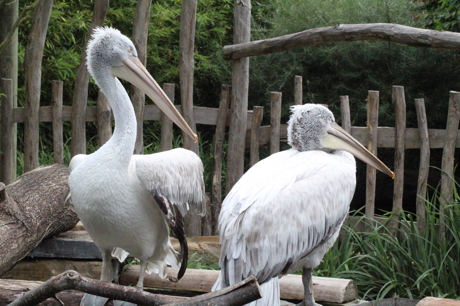 Photo n° 40 de l'avis de David.i fait le 18/11/2019 à 20:29