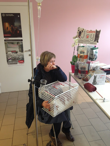 Dierenartspraktijk Nest - Dierenarts