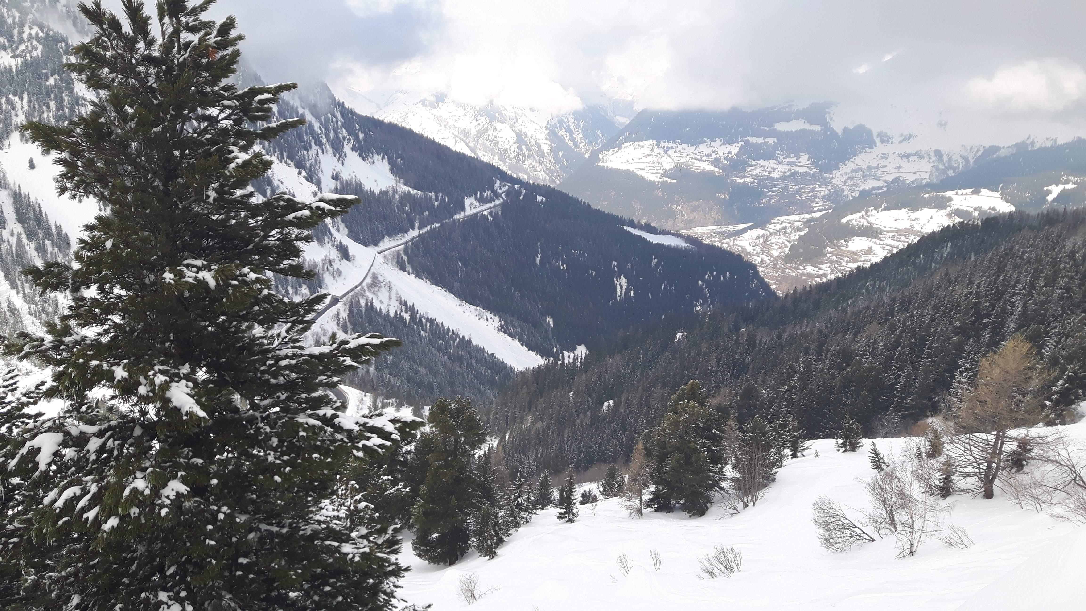 Photo n° 1 de l'avis de Libra. fait le 01/01/2019 à 10:17